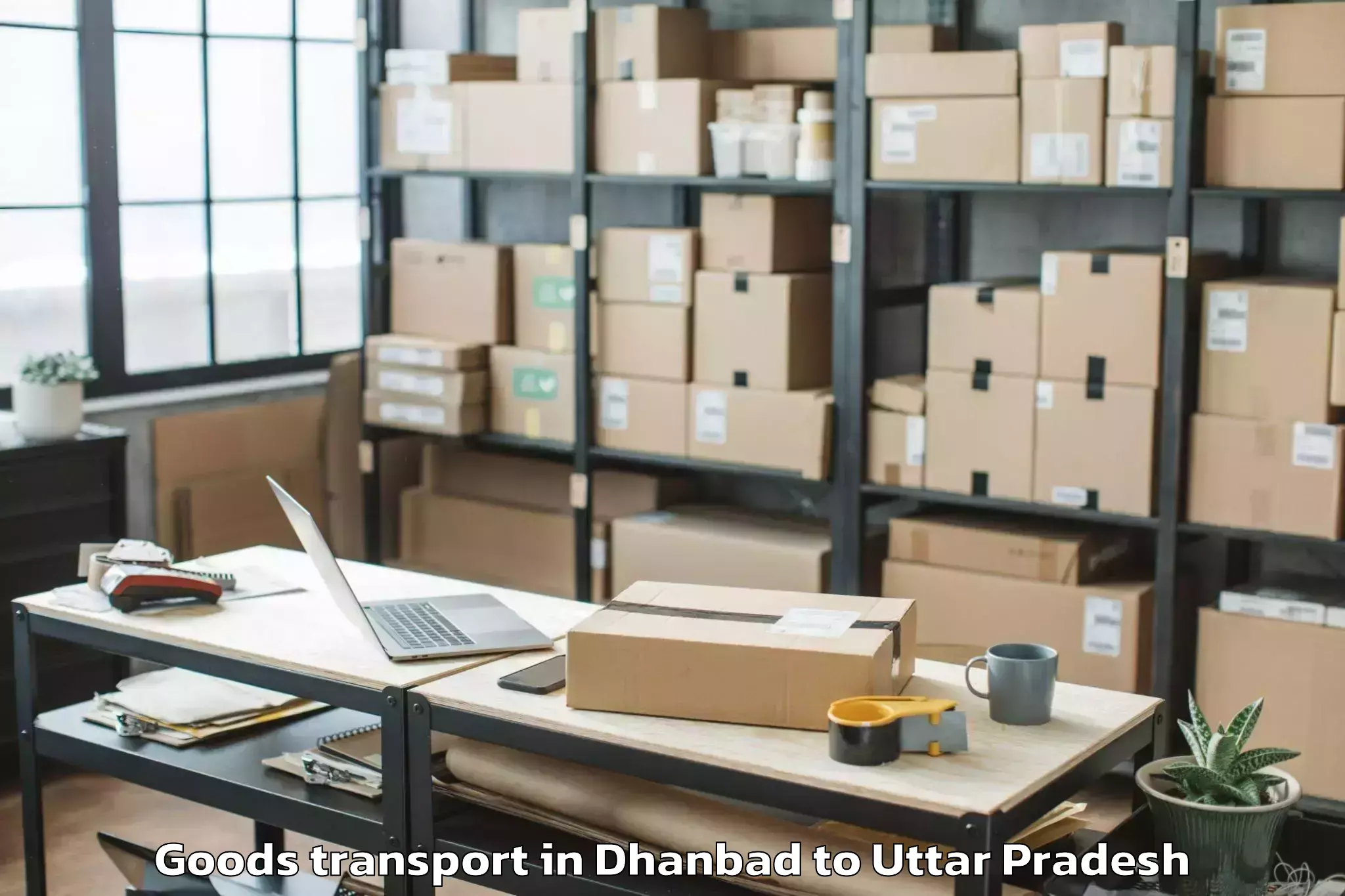 Professional Dhanbad to Belthara Road Goods Transport